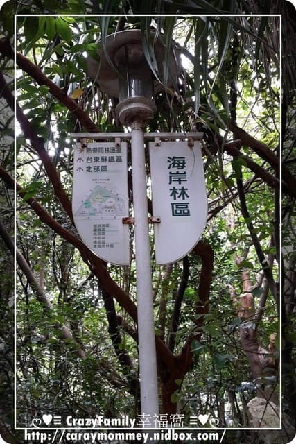 《台中》親子趴趴走無料行程之避暑的好去處【植物園】 - 第2張圖 《台中》親子趴趴走無料行程之避暑的好去處【植物園】