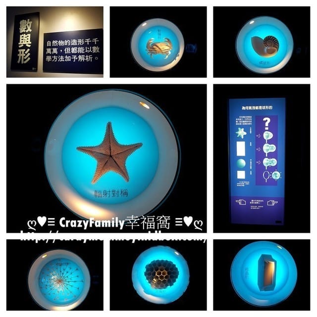 《台中》親子趴趴走無料行程之長知識的【科博館】 - 第3張圖 《台中》親子趴趴走無料行程之長知識的【科博館】