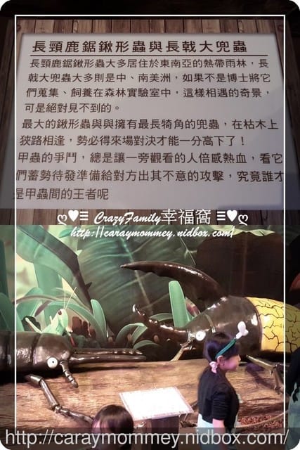├ 媽寶求知趣 ┤FUN大森林的冒險旅程 - 第15張圖 ├ 媽寶求知趣 ┤FUN大森林的冒險旅程
