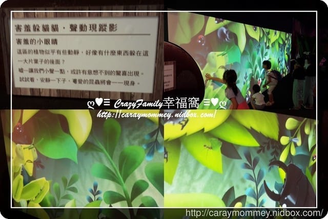 ├ 媽寶求知趣 ┤FUN大森林的冒險旅程 - 第25張圖 ├ 媽寶求知趣 ┤FUN大森林的冒險旅程