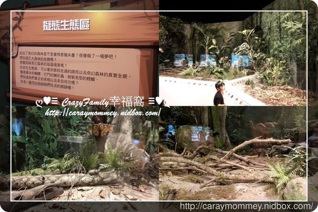 ├ 媽寶求知趣 ┤FUN大森林的冒險旅程 - 第31張圖 ├ 媽寶求知趣 ┤FUN大森林的冒險旅程