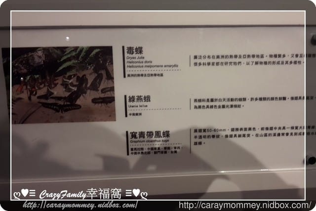 ├ 媽寶求知趣 ┤FUN大森林的冒險旅程 - 第32張圖 ├ 媽寶求知趣 ┤FUN大森林的冒險旅程