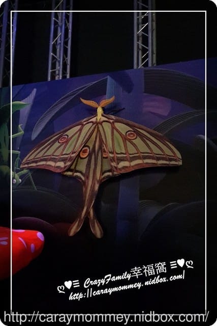 ├ 媽寶求知趣 ┤FUN大森林的冒險旅程 - 第24張圖 ├ 媽寶求知趣 ┤FUN大森林的冒險旅程