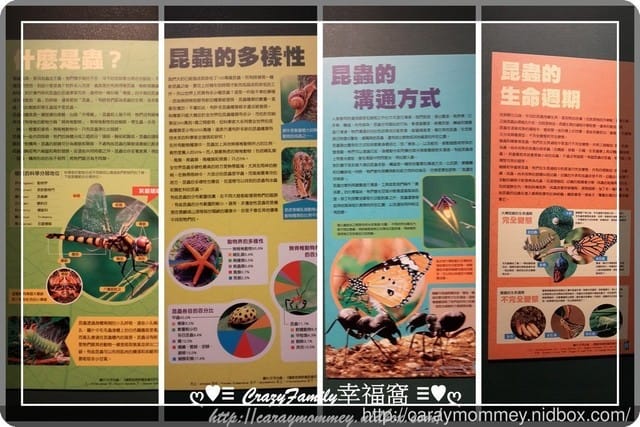 ├ 媽寶求知趣 ┤FUN大森林的冒險旅程 - 第30張圖 ├ 媽寶求知趣 ┤FUN大森林的冒險旅程