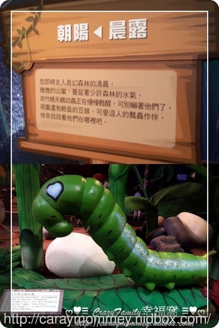 ├ 媽寶求知趣 ┤FUN大森林的冒險旅程 - 第8張圖 ├ 媽寶求知趣 ┤FUN大森林的冒險旅程