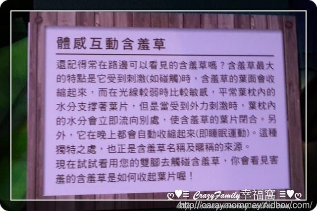 ├ 媽寶求知趣 ┤FUN大森林的冒險旅程 - 第18張圖 ├ 媽寶求知趣 ┤FUN大森林的冒險旅程