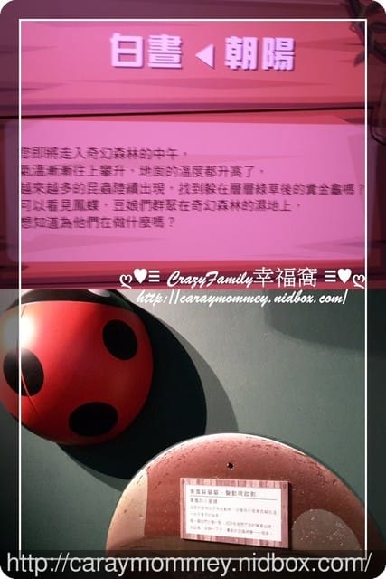 ├ 媽寶求知趣 ┤FUN大森林的冒險旅程 - 第11張圖 ├ 媽寶求知趣 ┤FUN大森林的冒險旅程