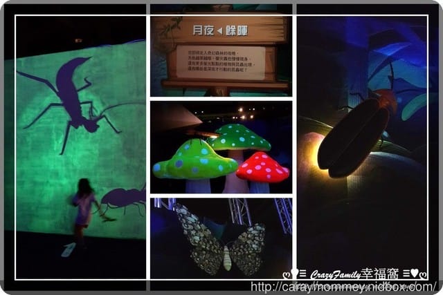 ├ 媽寶求知趣 ┤FUN大森林的冒險旅程 - 第20張圖 ├ 媽寶求知趣 ┤FUN大森林的冒險旅程