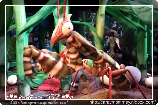 ├ 媽寶求知趣 ┤FUN大森林的冒險旅程 - 第14張圖 ├ 媽寶求知趣 ┤FUN大森林的冒險旅程
