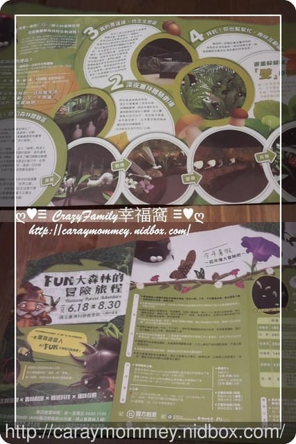 ├ 媽寶求知趣 ┤FUN大森林的冒險旅程 - 第3張圖 ├ 媽寶求知趣 ┤FUN大森林的冒險旅程