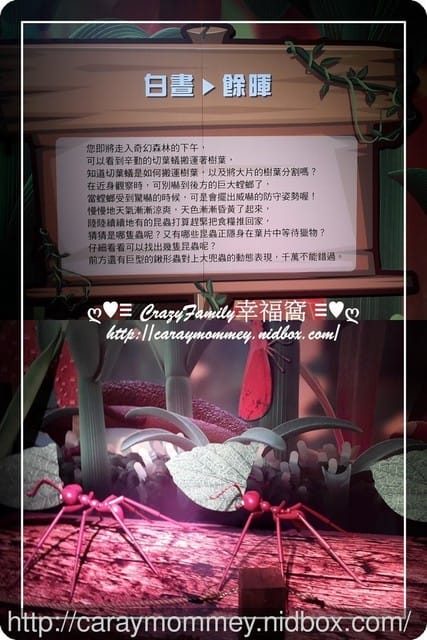 ├ 媽寶求知趣 ┤FUN大森林的冒險旅程 - 第17張圖 ├ 媽寶求知趣 ┤FUN大森林的冒險旅程