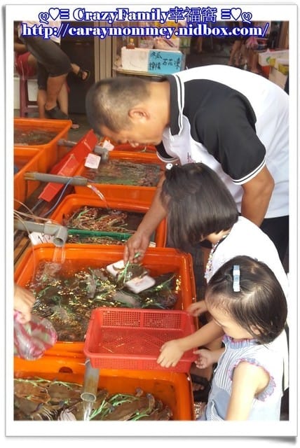 ├ 家族趴趴走 ┤萬里金山半日遊 - 第7張圖 ├ 家族趴趴走 ┤萬里金山半日遊