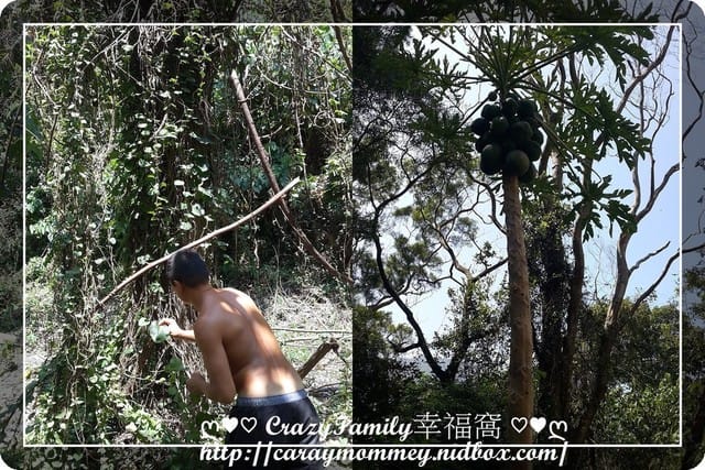 ├ 家庭度假去 ┤悠活親子日 - 第20張圖 ├ 家庭度假去 ┤悠活親子日