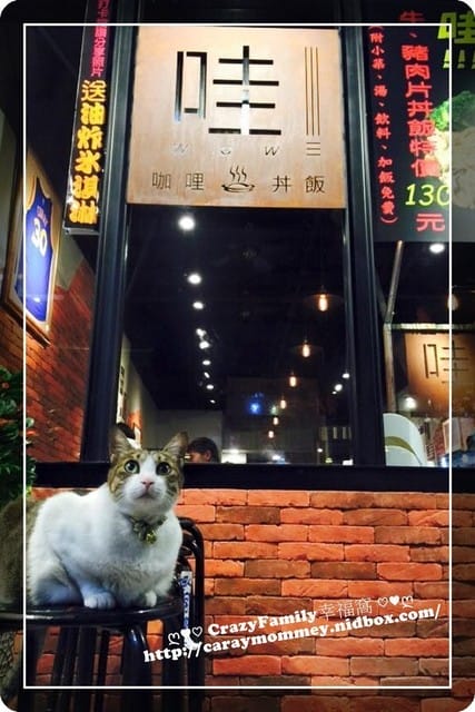 ☆★美食饗宴★☆【新北板橋】夜市中平價但不平凡的味道之『哇!!!咖哩丼飯』 - 第3張圖 ☆★美食饗宴★☆【新北板橋】夜市中平價但不平凡的味道之『哇!!!咖哩丼飯』