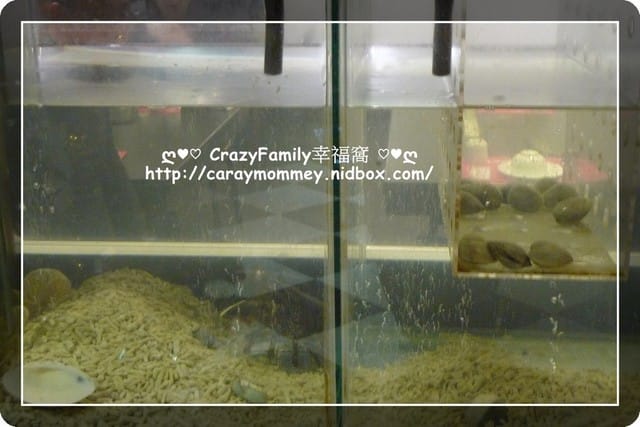 ☆★♨美食饗宴♨★☆【宜蘭】有遊戲室的白熊燒鍋 - 第11張圖 ☆★♨美食饗宴♨★☆【宜蘭】有遊戲室的白熊燒鍋