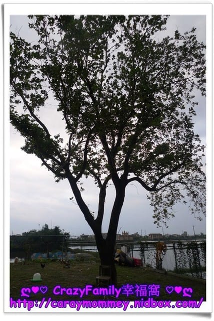 ஐ 親子民宿 ஐ 【宜蘭羅東】悠活~蔬活的菜爺爺親子民宿 - 第14張圖 ஐ 親子民宿 ஐ 【宜蘭羅東】悠活~蔬活的菜爺爺親子民宿