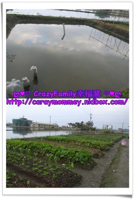 ஐ 親子民宿 ஐ 【宜蘭羅東】悠活~蔬活的菜爺爺親子民宿 - 第13張圖 ஐ 親子民宿 ஐ 【宜蘭羅東】悠活~蔬活的菜爺爺親子民宿