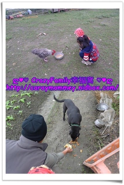 ஐ 親子民宿 ஐ 【宜蘭羅東】悠活~蔬活的菜爺爺親子民宿 - 第29張圖 ஐ 親子民宿 ஐ 【宜蘭羅東】悠活~蔬活的菜爺爺親子民宿