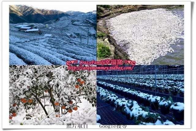 ☆★♨團購美食報報♨★☆主婦們在菜價飆漲的救星~~韓式泡菜之孃孃美食小鋪