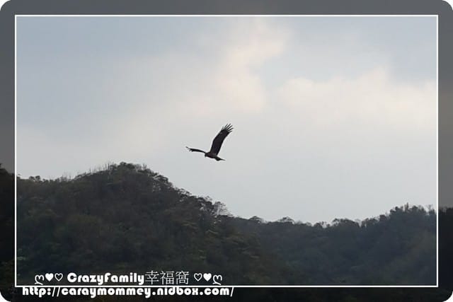 ├ 家庭趴趴走 ┤ 瘋狂玩一日