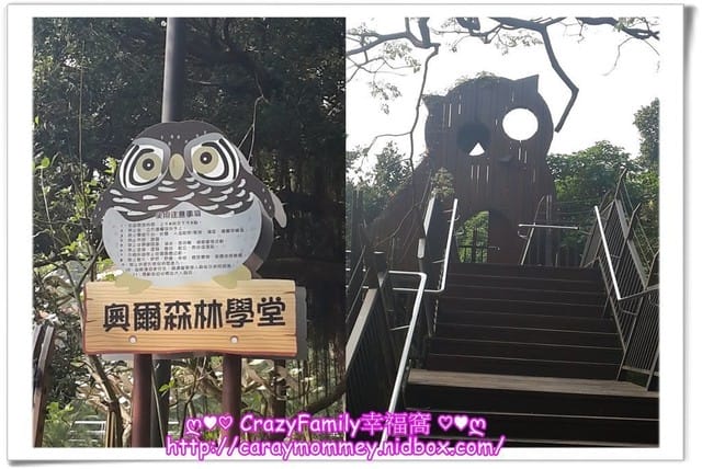 ├ 家庭趴趴走 ┤ 虎頭山之奧爾森林學堂