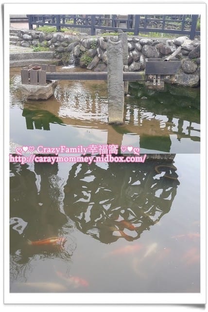 ├ 家庭趴趴走 ┤ 北海岸一日遊 - 第14張圖 ├ 家庭趴趴走 ┤ 北海岸一日遊