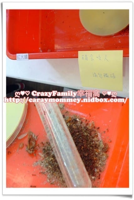 ├ 媽寶學知識 ┤ 台大經濟蟲苑 - 第10張圖 ├ 媽寶學知識 ┤ 台大經濟蟲苑