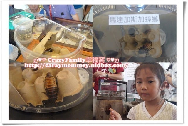 ├ 媽寶學知識 ┤ 台大經濟蟲苑 - 第7張圖 ├ 媽寶學知識 ┤ 台大經濟蟲苑