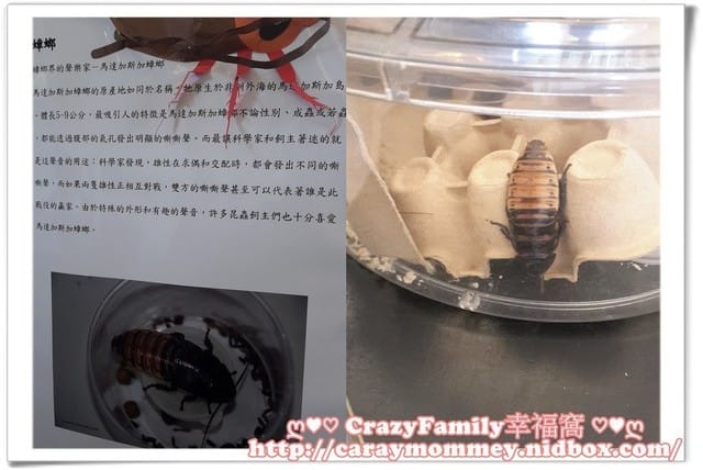├ 媽寶學知識 ┤ 台大經濟蟲苑 - 第6張圖 ├ 媽寶學知識 ┤ 台大經濟蟲苑
