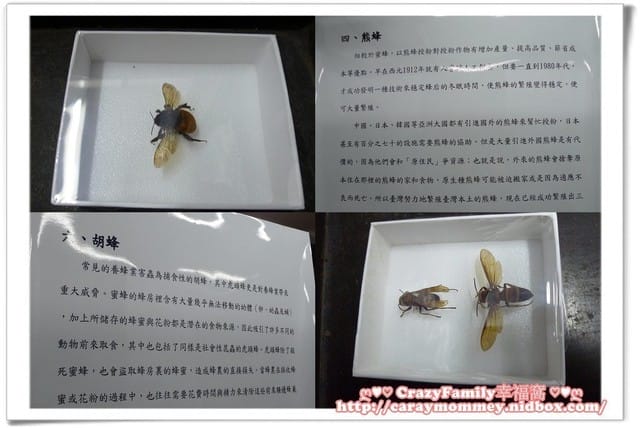 ├ 媽寶學知識 ┤ 台大經濟蟲苑 - 第12張圖 ├ 媽寶學知識 ┤ 台大經濟蟲苑