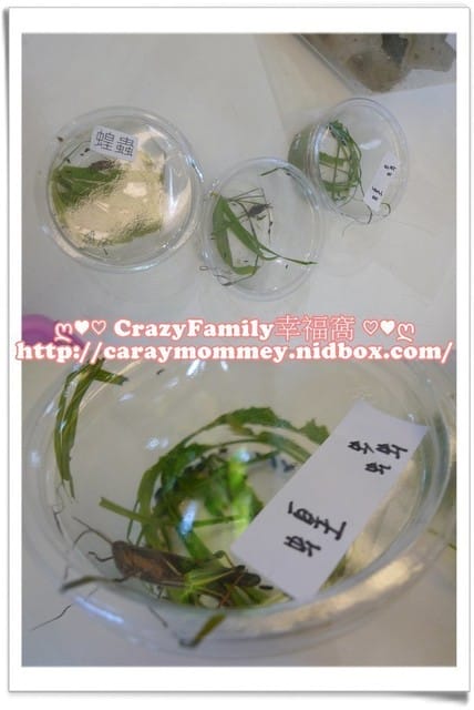 ├ 媽寶學知識 ┤ 台大經濟蟲苑 - 第4張圖 ├ 媽寶學知識 ┤ 台大經濟蟲苑