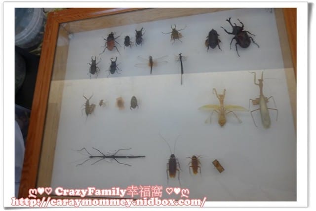 ├ 媽寶學知識 ┤ 台大經濟蟲苑 - 第14張圖 ├ 媽寶學知識 ┤ 台大經濟蟲苑