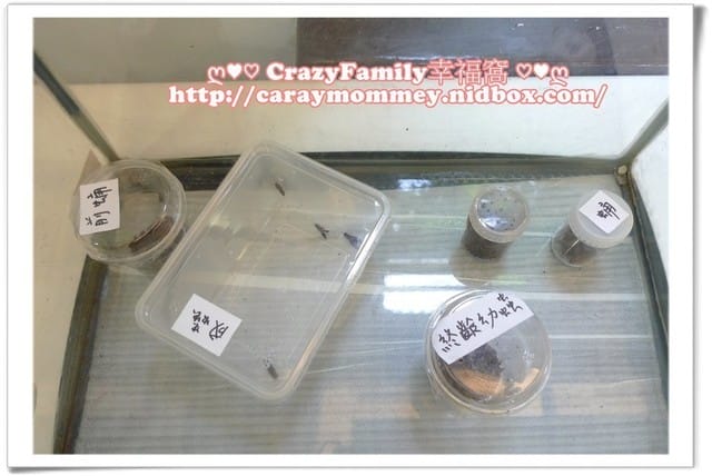 ├ 媽寶學知識 ┤ 台大經濟蟲苑 - 第5張圖 ├ 媽寶學知識 ┤ 台大經濟蟲苑