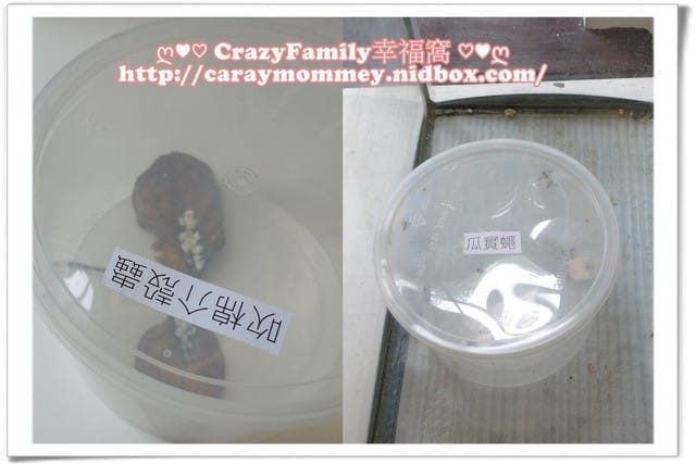 ├ 媽寶學知識 ┤ 台大經濟蟲苑 - 第9張圖 ├ 媽寶學知識 ┤ 台大經濟蟲苑