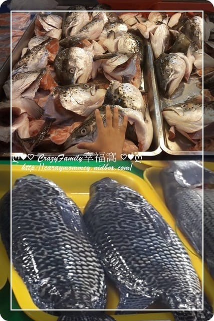├ 家庭趴趴走 ┤ 新竹南寮漁港採購行