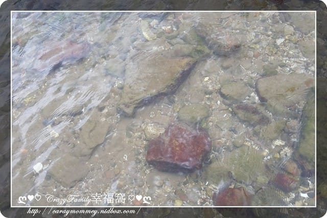 ├ 家庭玩水樂 ┤ 野柳玩水抓螃蟹 - 第5張圖 ├ 家庭玩水樂 ┤ 野柳玩水抓螃蟹