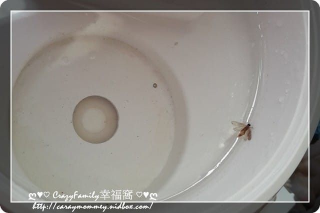 § 試用體驗 § 【Inaday’s】馬卡龍隱形蚊帳 Aura多功能馨香機 - 第20張圖 § 試用體驗 § 【Inaday’s】馬卡龍隱形蚊帳 Aura多功能馨香機