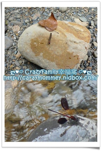 ├ 家庭玩水樂 ┤ 【新北坪林】 金瓜寮溪透涼行 + 【宜蘭頭城】 麻將麵蛤蠣湯 - 第11張圖 ├ 家庭玩水樂 ┤ 【新北坪林】 金瓜寮溪透涼行 + 【宜蘭頭城】 麻將麵蛤蠣湯