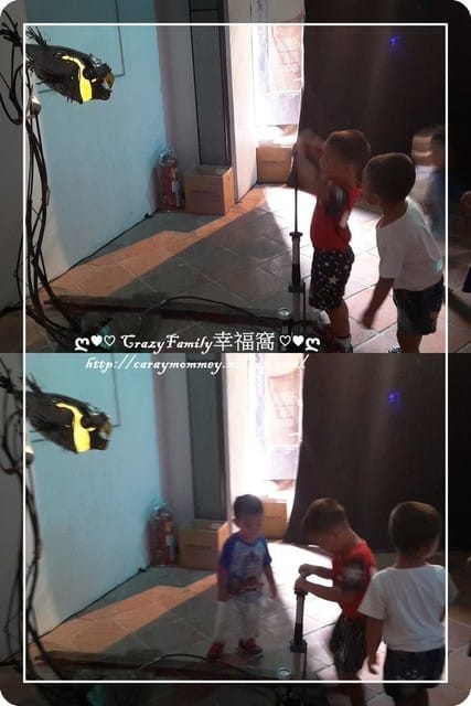 ├ 媽寶趴趴走 ┤ 【台北萬華】剝皮寮+鄉土教育中心 - 第2張圖 ├ 媽寶趴趴走 ┤ 【台北萬華】剝皮寮+鄉土教育中心