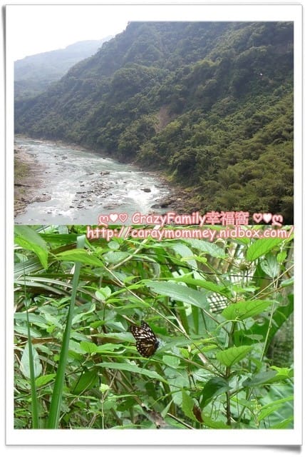 ├ 家庭出遊去 ┤ 【桃園復興】拉拉山一日遊 - 第20張圖 ├ 家庭出遊去 ┤ 【桃園復興】拉拉山一日遊