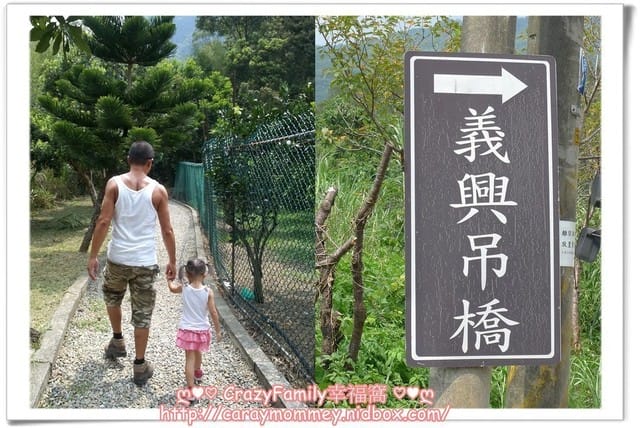 ├ 家庭出遊去 ┤ 【桃園復興】拉拉山一日遊 - 第15張圖 ├ 家庭出遊去 ┤ 【桃園復興】拉拉山一日遊
