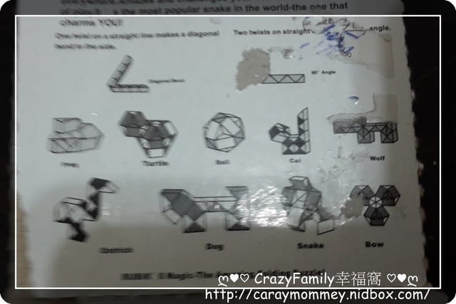 XeNia變形積木之眼鏡蛇