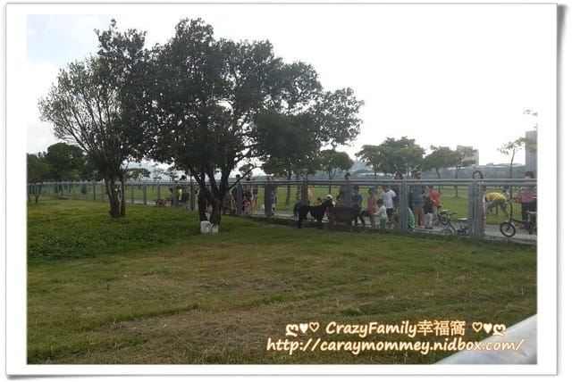 ├ 媽寶玩樂趣 ┤ 【板橋】浮洲橋河濱玩樂 - 第8張圖 ├ 媽寶玩樂趣 ┤ 【板橋】浮洲橋河濱玩樂
