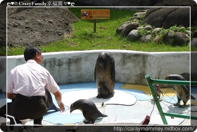 ├ 媽寶趴趴走 ┤ 動物園一日遊 - 第15張圖 ├ 媽寶趴趴走 ┤ 動物園一日遊