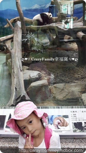 ├ 媽寶趴趴走 ┤ 動物園一日遊 - 第32張圖 ├ 媽寶趴趴走 ┤ 動物園一日遊