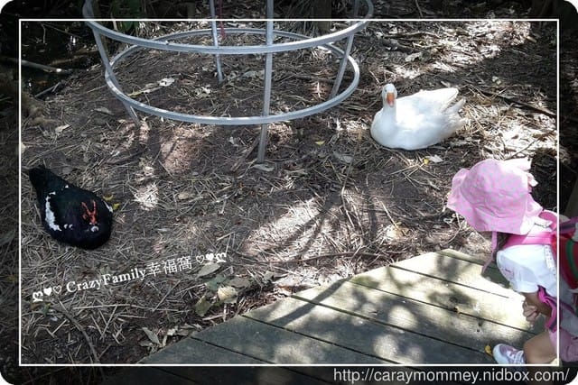 ├ 媽寶趴趴走 ┤ 動物園一日遊 - 第36張圖 ├ 媽寶趴趴走 ┤ 動物園一日遊