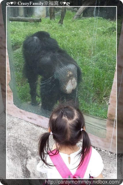 ├ 媽寶趴趴走 ┤ 動物園一日遊 - 第22張圖 ├ 媽寶趴趴走 ┤ 動物園一日遊