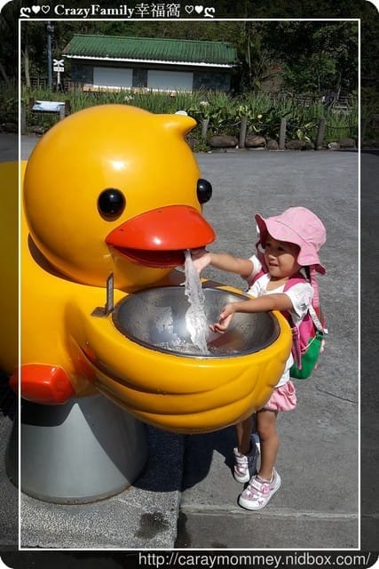 ├ 媽寶趴趴走 ┤ 動物園一日遊 - 第39張圖 ├ 媽寶趴趴走 ┤ 動物園一日遊