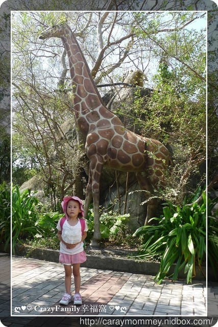 ├ 媽寶趴趴走 ┤ 動物園一日遊 - 第27張圖 ├ 媽寶趴趴走 ┤ 動物園一日遊