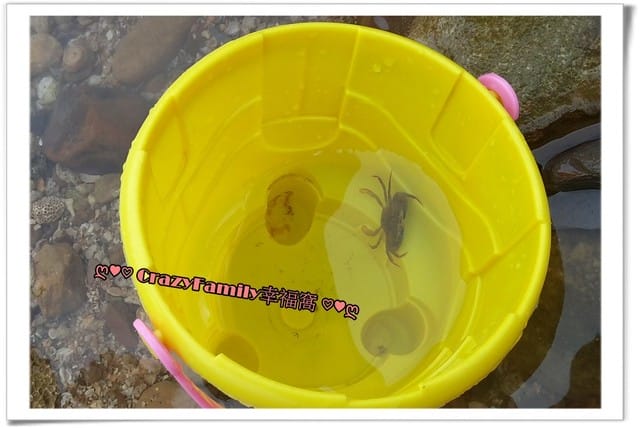 ├ 家庭趴趴走 ┤ 【新北】野柳玩水趣 - 第7張圖 ├ 家庭趴趴走 ┤ 【新北】野柳玩水趣
